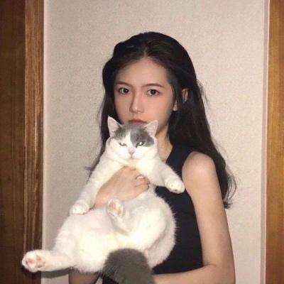 三国志战略版b站版下载